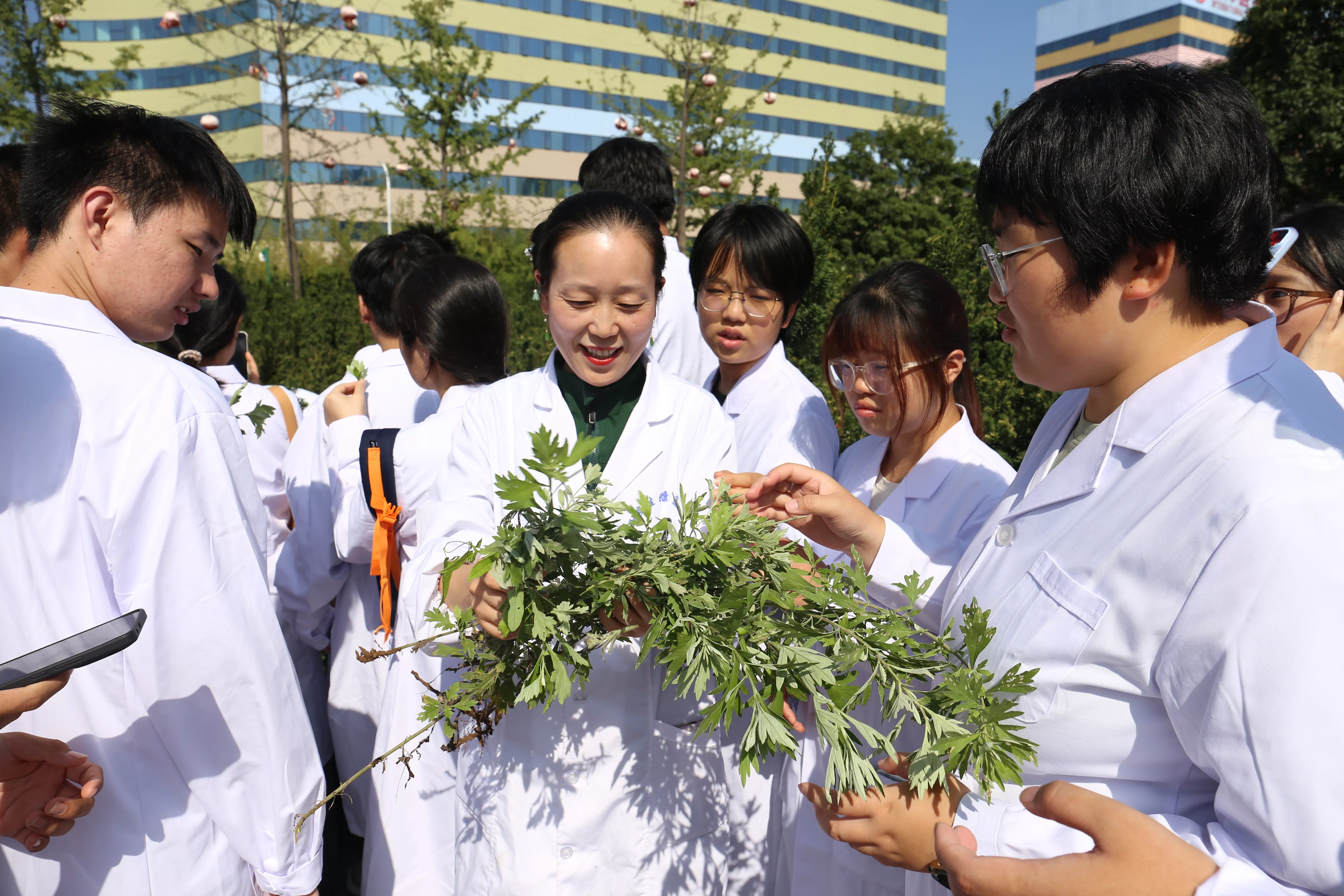 路径五：拓展中医药相关产业领域